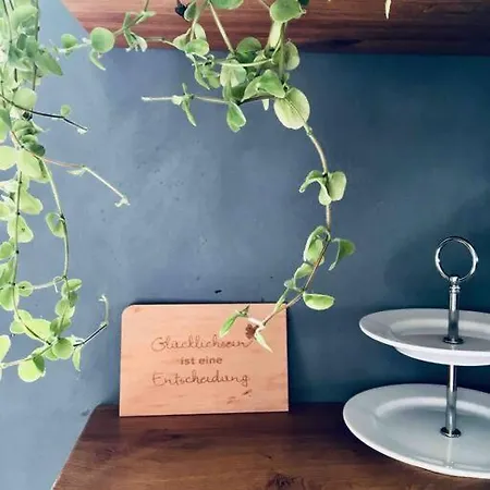 Ferienhaus Saniertes Fachwerkhaus Mit Hof I.d. Altstadt Wißmar